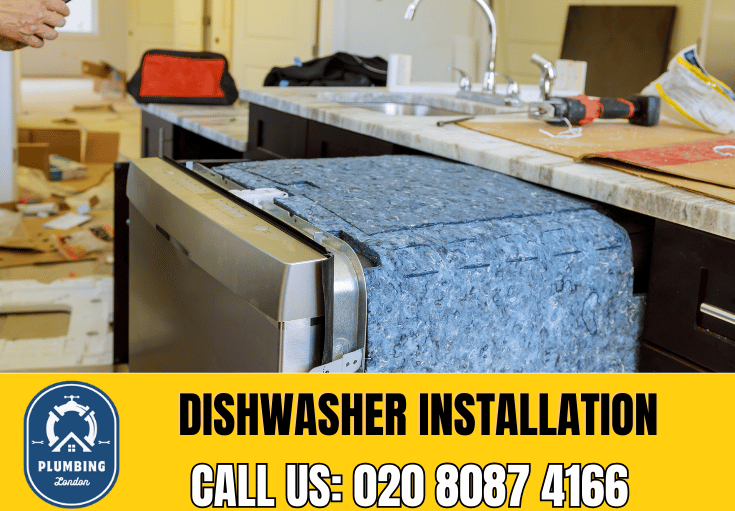 dishwasher installation Earlsfield