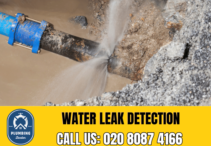 leak detection Earlsfield