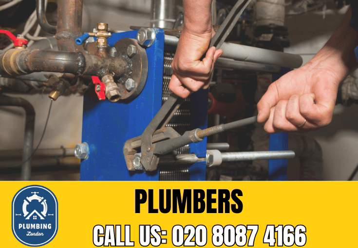  plumber Southfields