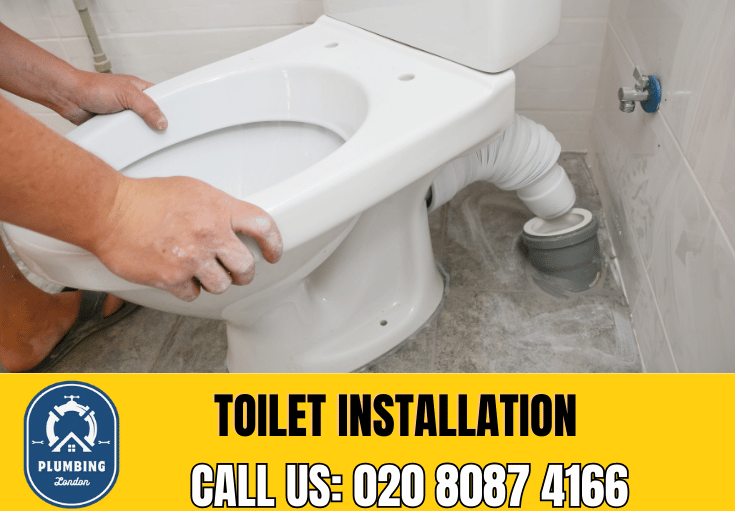 toilet fitters Earlsfield